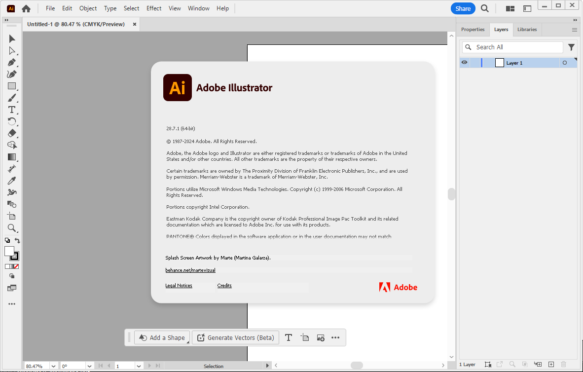 Adobe-Illustrator-3.png