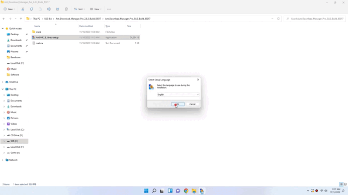Ant Download Manager Pro1.gif