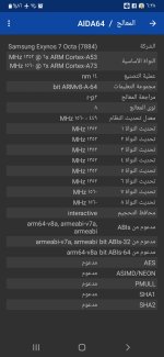 Screenshot_٢٠٢٤٠٢١٠-١٨٣٨٠١_AIDA64.jpg