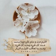 Armadil