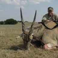 Eland