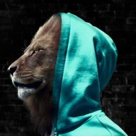 Elmasry