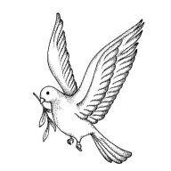 yahia72